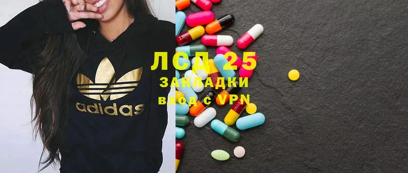 ЛСД экстази ecstasy  Заозёрск 